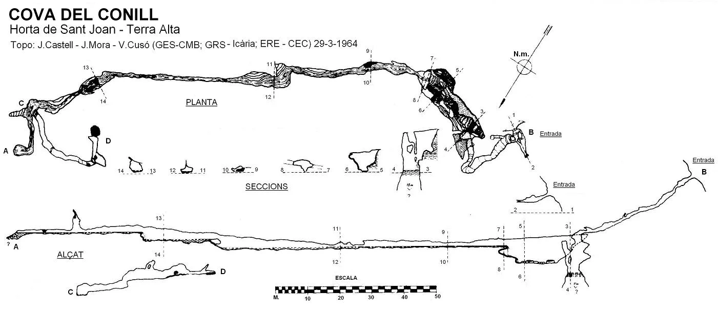 Survey of CONILL, COVA DEL