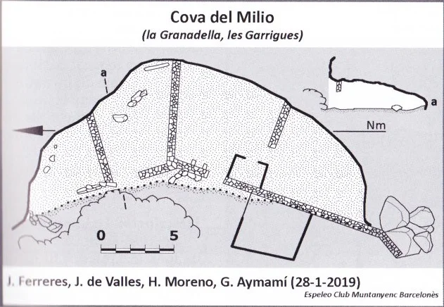 Survey of MILIO, COVA DEL