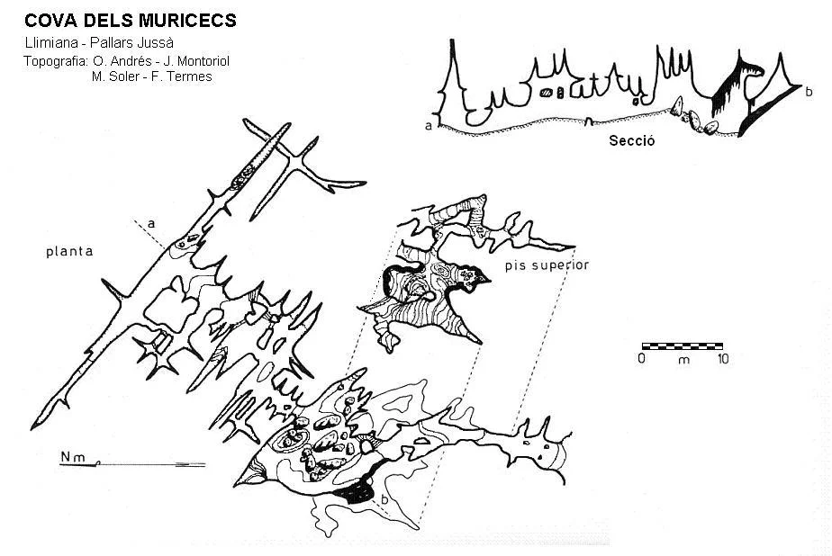 Topografia de MURICECS, COVA DELS