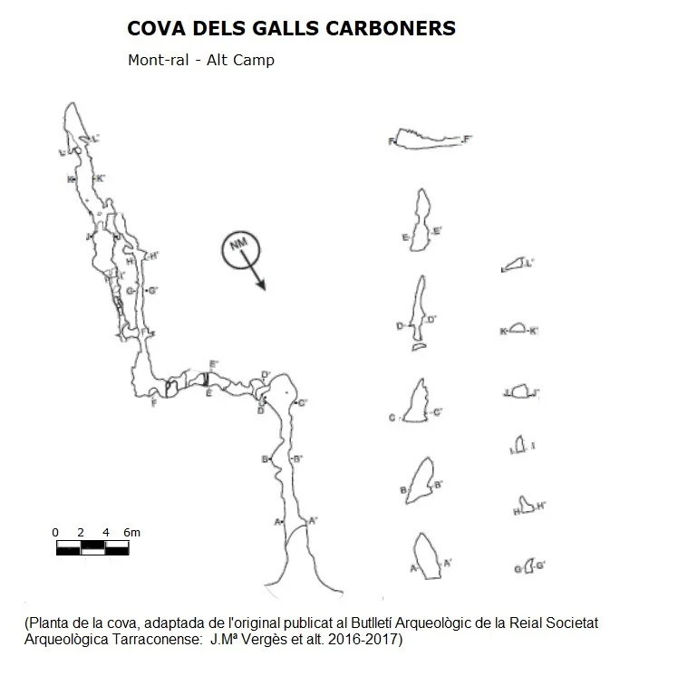 Topografia de GALLS CARBONERS, COVA DELS