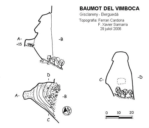 Survey of VIMBOCA, BAUMOT DEL
