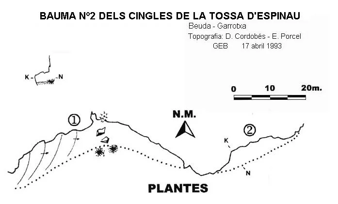 Survey of CINGLES DE LA TOSSA D'ESPINAU, BAUMA Nº2 DELS