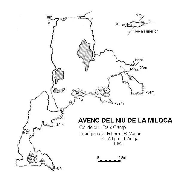 Topografia de NIU DE LA MILOCA, AVENC DEL
