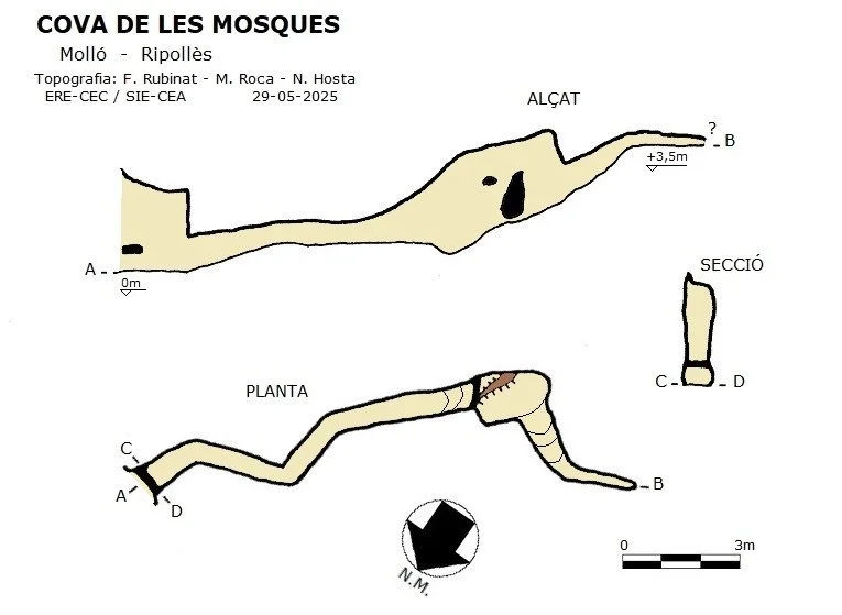 Topografía de MOSQUES, COVA DE LES