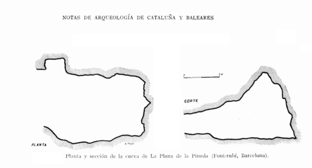 Topografia de PLANA DE LA PINEDA, COVA DE LA