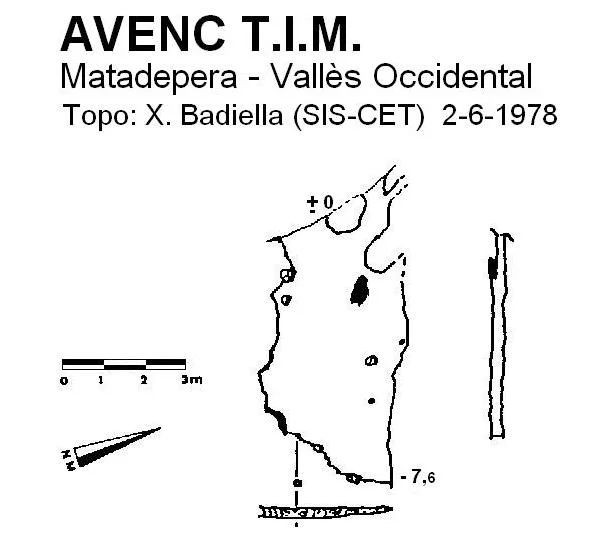 Survey of T.I.M., AVENC