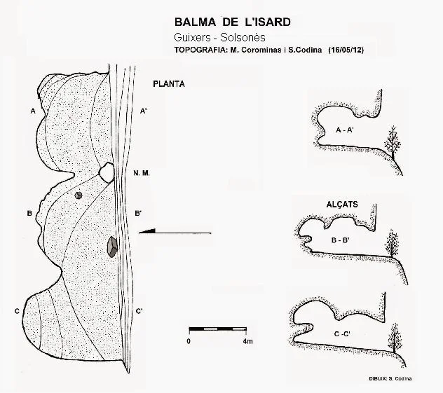 Survey of ISARD, BALMA DE L'