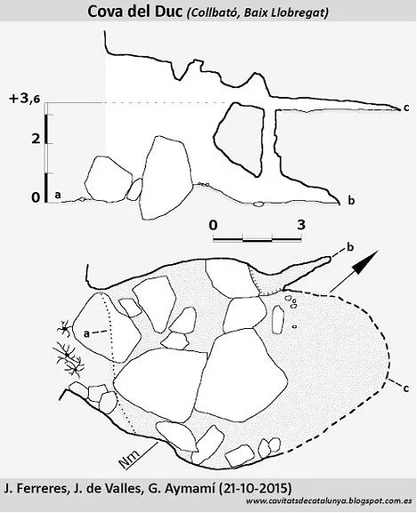 Survey of DUCS, COVA DELS