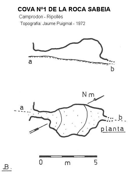 Topografía de ROCA SABEIA, COVA Nº1 DE LA