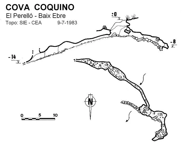 Survey of COQUINO, COVA