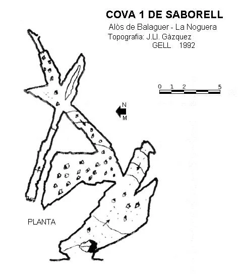 Topographie de SABORELL, COVA 1 DE