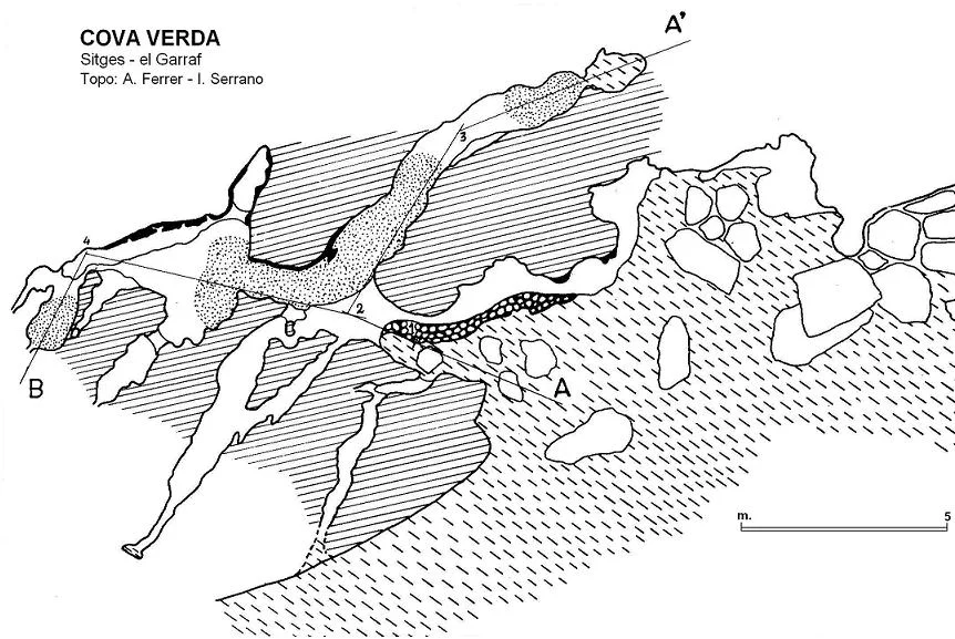 Survey of VERDA, COVA