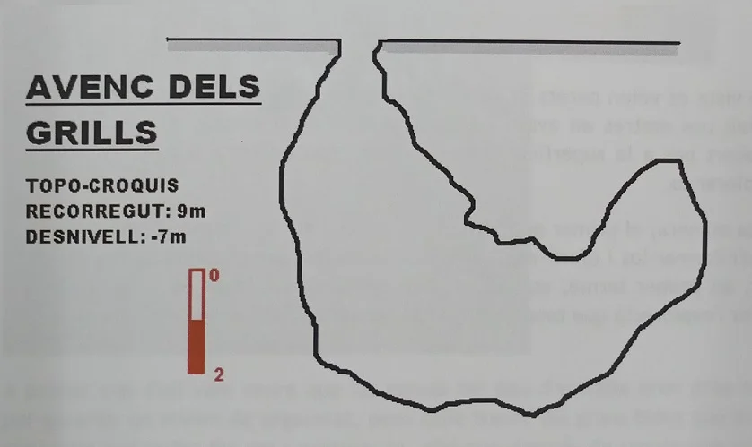 Survey of GRILLS, FORAT DELS