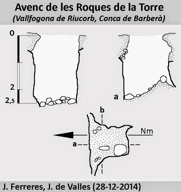 Topografía de ROQUES DE LA TORRE, AVENC DE LES