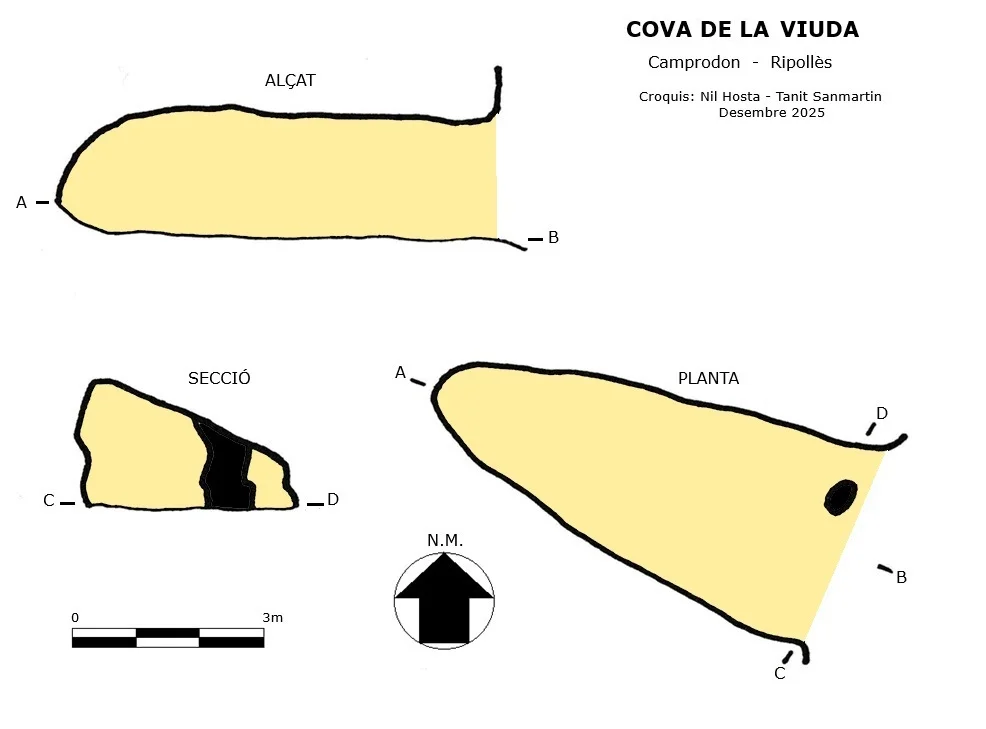 Survey of VIUDA, COVA DE LA
