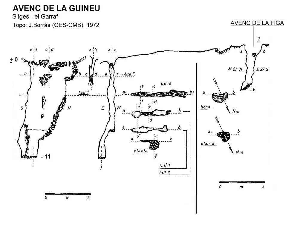 Topografia de GUINEU, AVENC DE LA