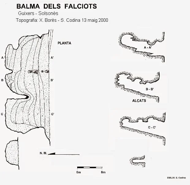 Topographie de FALCIOTS, BALMA DELS