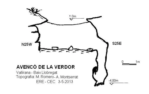 Survey of VERDOR, AVENCÓ DE LA