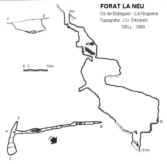 Survey of NEU, FORAT LA