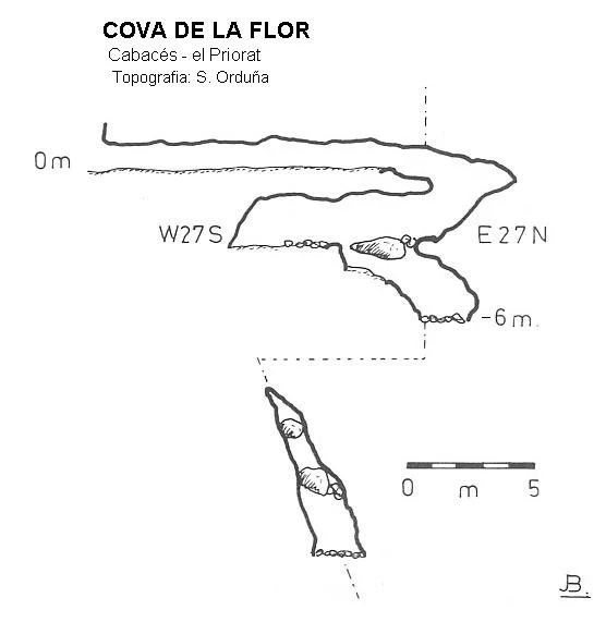 Survey of FLOR, COVA DE LA