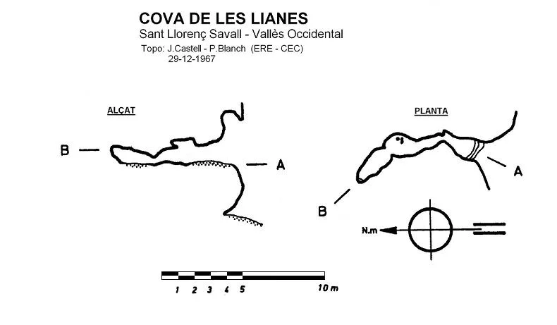 Survey of LIANES, COVA DE LES