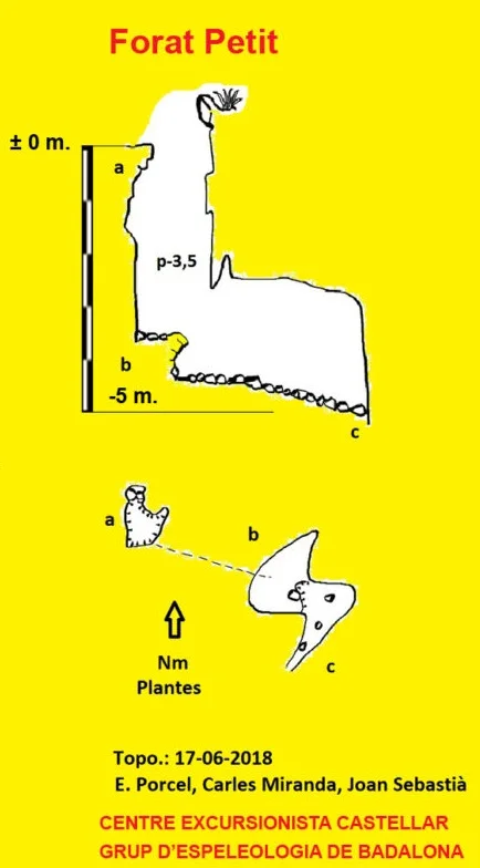 Survey of PETIT, FORAT