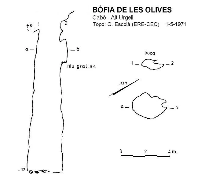 Survey of OLIVES, BÒFIA DE LES