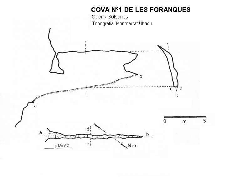 Topographie de FORANQUES, COVA Nº1 DE LES