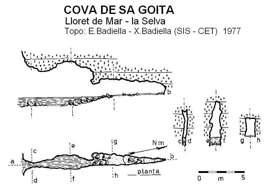 Topografía de GOITA, COVA DE SA