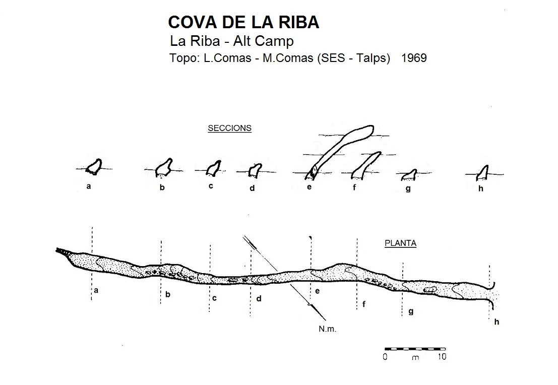 Topografia de RIBA, COVA DE LA