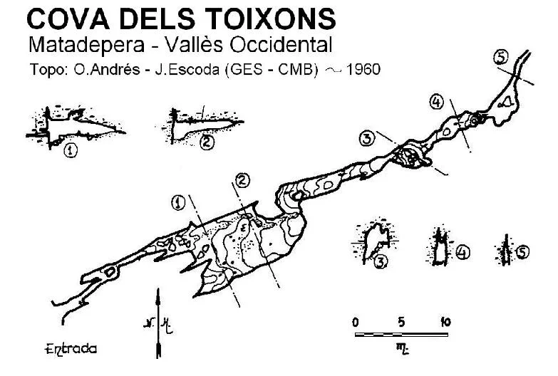 Topografía de TOIXONS, COVA DELS