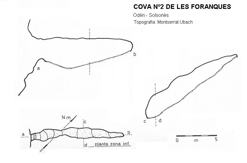 Topographie de FORANQUES, COVA Nº2 DE LES