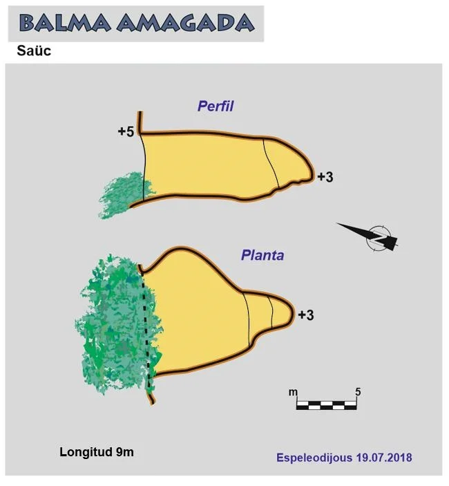 Survey of AMAGADA DEL SAÜC, BALMA