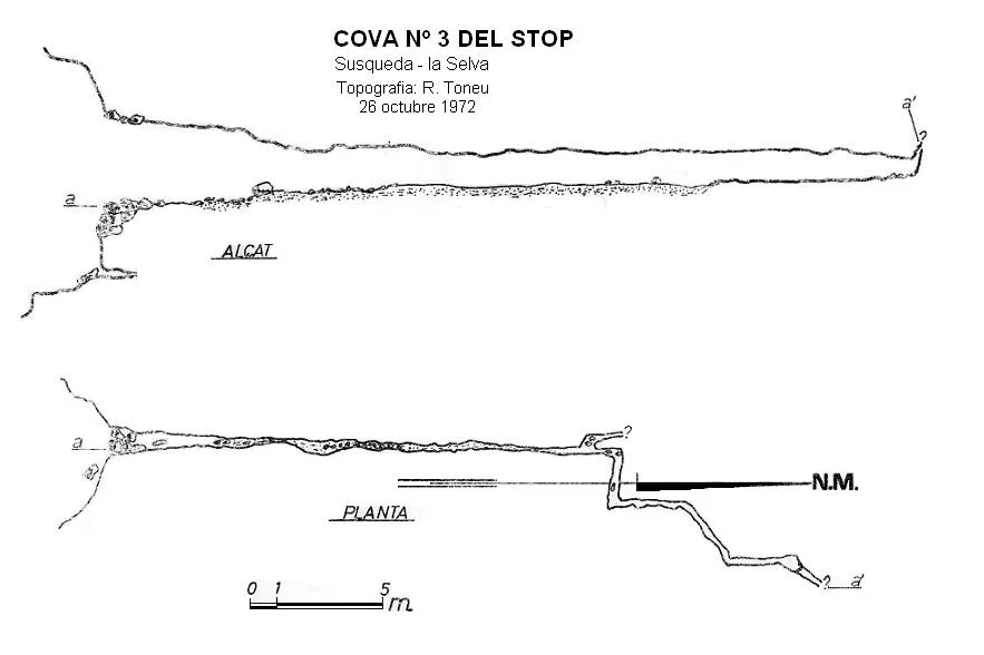 Topografía de STOP, COVA Nº3 DEL