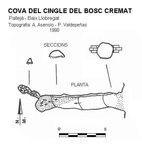 Topografia de CINGLE DEL BOSC CREMAT, COVA DEL