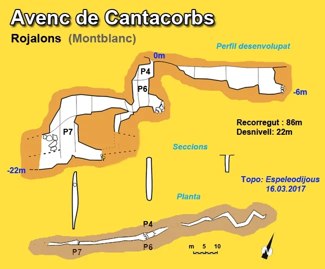 Survey of MONTSE TRAVÉ, AVENC