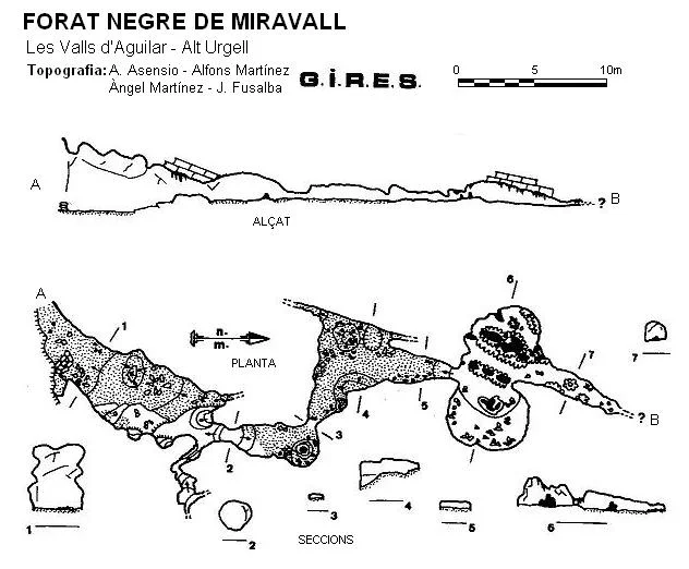 Survey of NEGRE DE MIRAVALL, FORAT