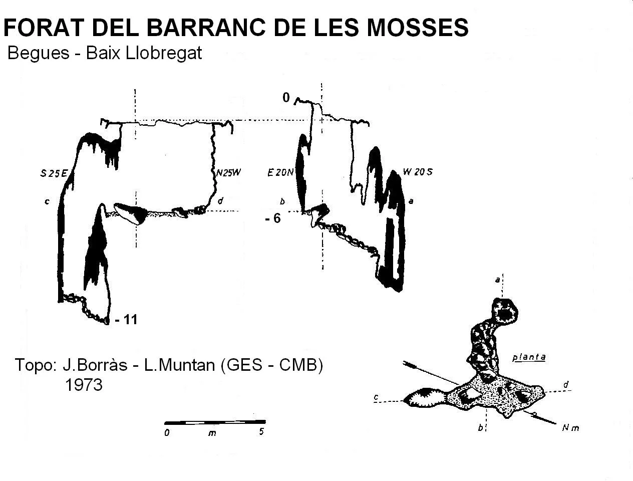 Topographie de BARRANC DE LES MOSSES, FORAT DEL
