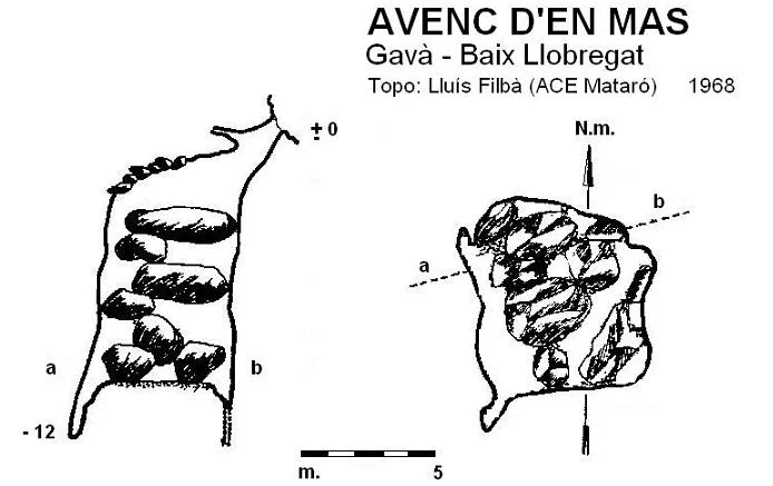 Survey of MAS, AVENC D'EN