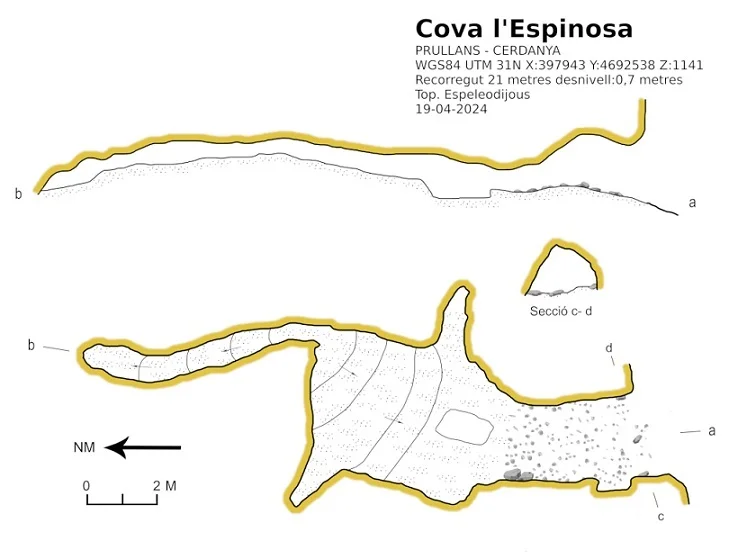 Survey of ESPINOSA, COVA DE L'