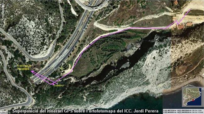 Topografía de RIERA DE LA FALCONERA, AVENC DE LA