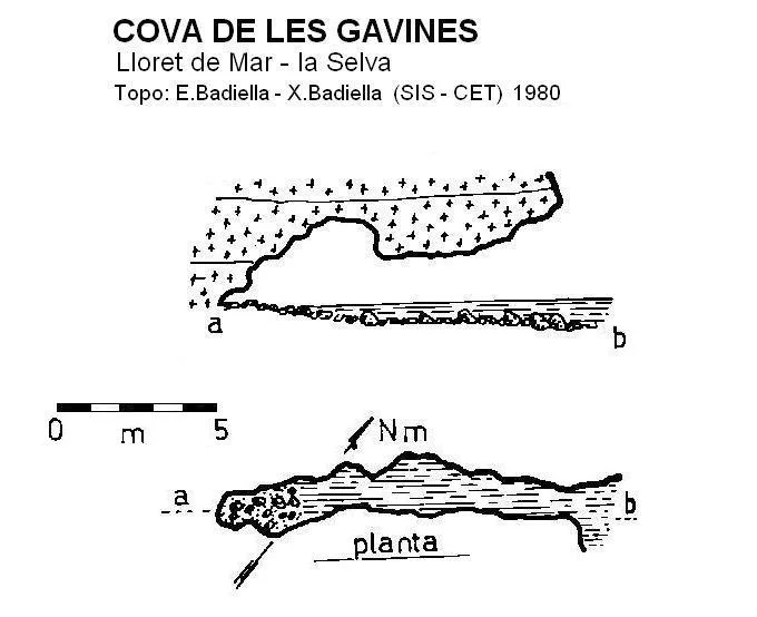 Topografia de GAVINES, COVA DE LES