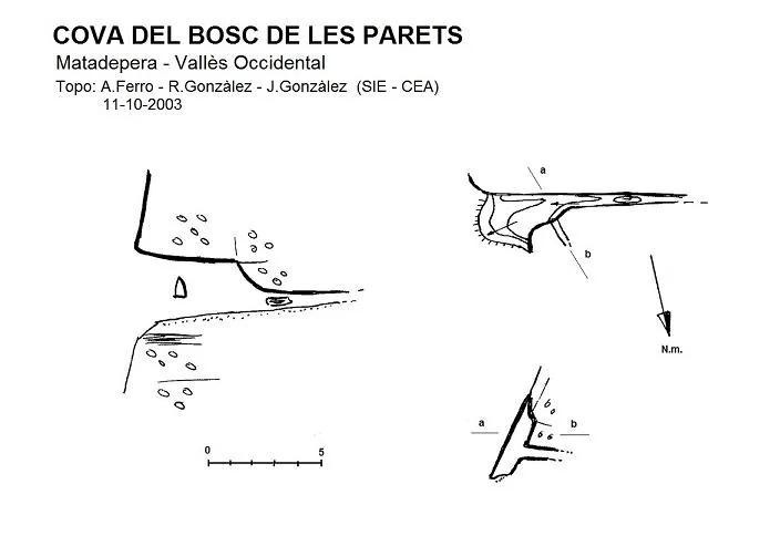 Topographie de BOSC DE LES PARETS, COVA DEL