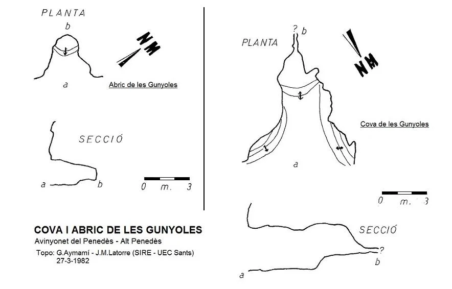 Topografia de GUNYOLES, COVA I ABRIC DE LES