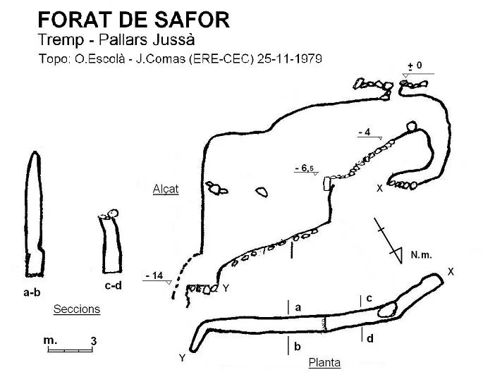 Survey of SAFOR, FORAT DE