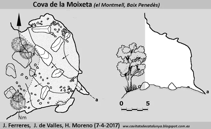 Topografía de MOIXETA, COVA DE LA