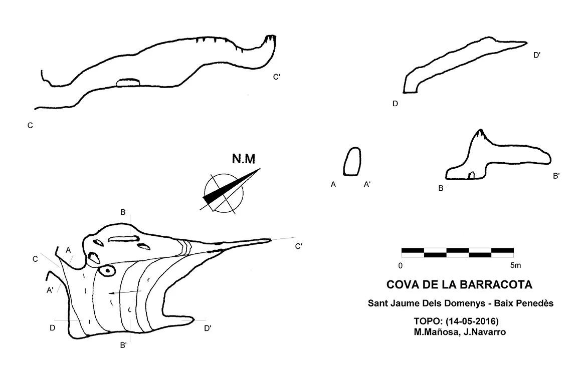 Topografia de BARRACOTA, COVA DE LA