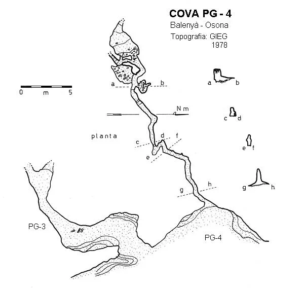 Topografia de PG-4, COVA