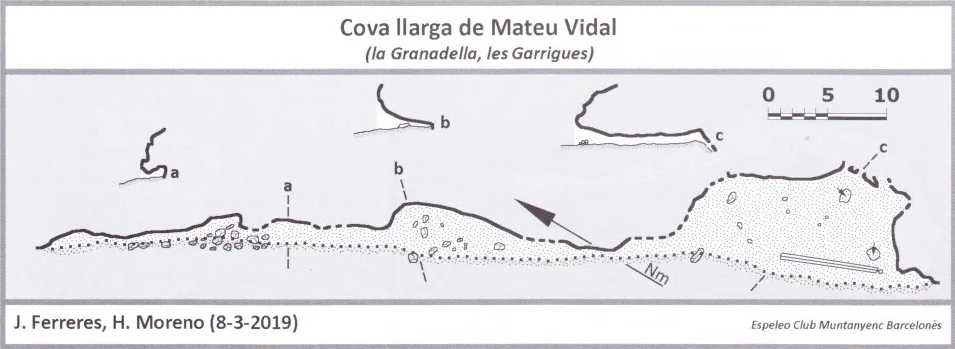 Topographie de LLARGA DE MATEU VIDAL, COVA