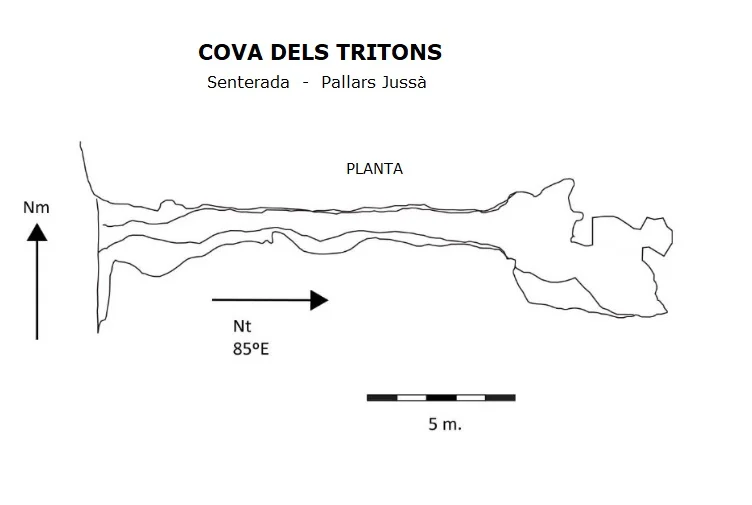 Topografía de TRITONS, COVA DELS